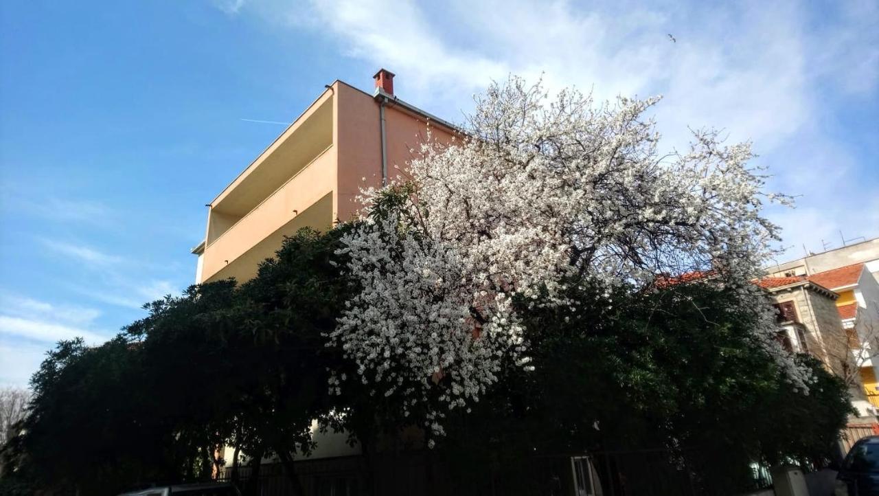 Split Symphony Veranda: Modern, New Apartment ภายนอก รูปภาพ